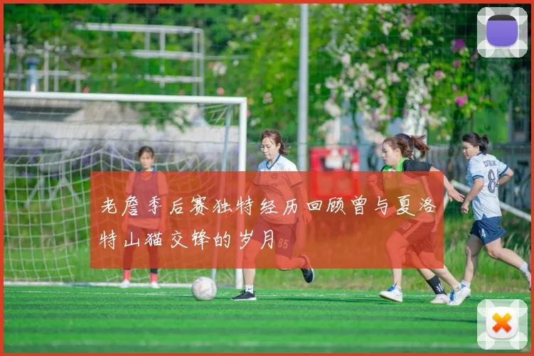 老詹季后赛独特经历回顾曾与夏洛特山猫交锋的岁月