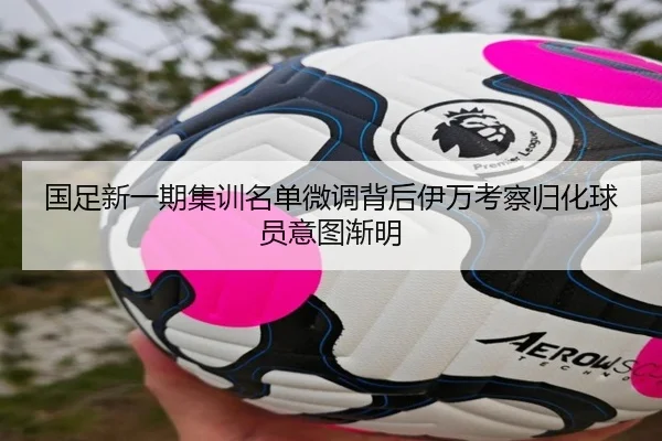 国足新一期集训名单微调背后伊万考察归化球员意图渐明